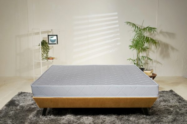 Bed Mattresses