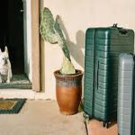 Choosing the Perfect Trolley Suitcase for Your Travel Needs