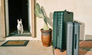 article_32492490_featured_1776853473